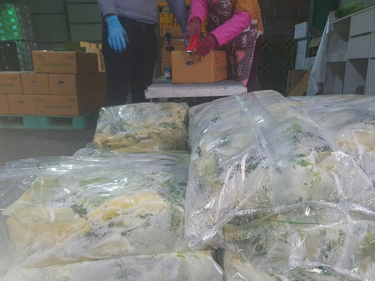 절단·자숙을 마친 우거지를 포장하는 작업